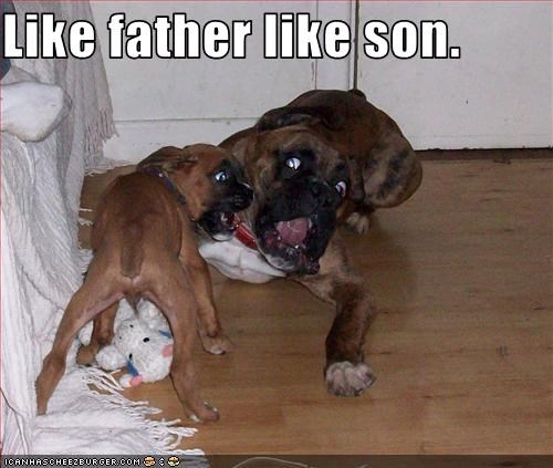 Like father like son.