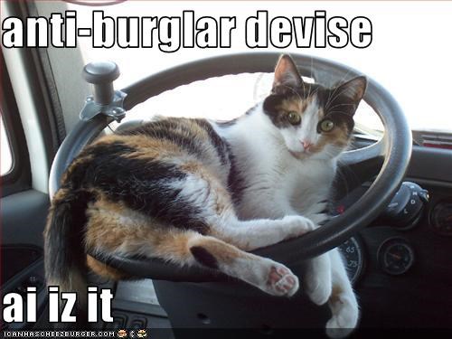 anti-burglar devise  ai iz it