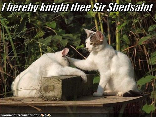 I hereby knight thee Sir Shedsalot