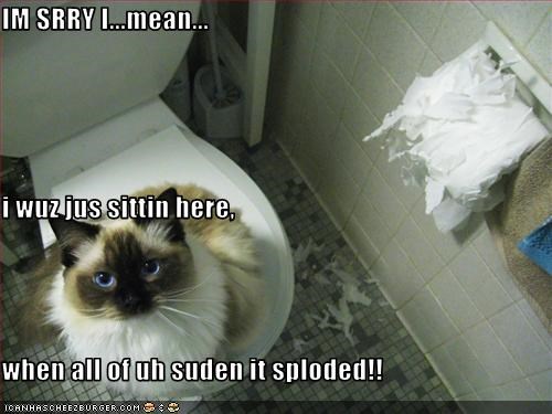 IM SRRY I...mean... i wuz jus sittin here, when all of uh suden it sploded!!