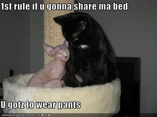 1st rule if u gonna share ma bed  U gotz to wear pants