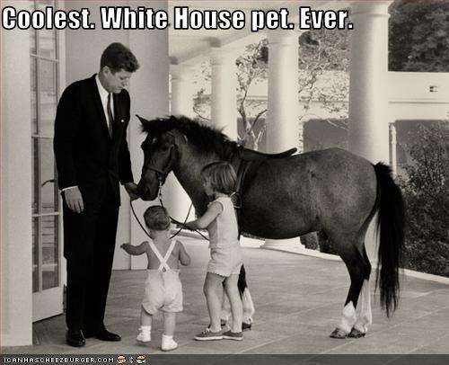 Coolest. White House pet. Ever.