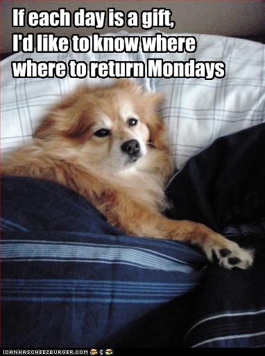 If each day is a gift,
I'd like to know where
where to return Mondays