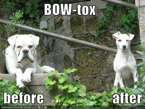BOW-tox   before                        after