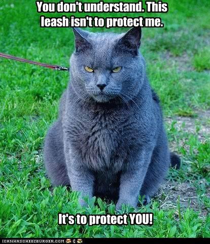 You don't understand. This leash isn't to protect me.