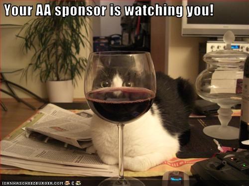 Your AA sponsor is watching you!