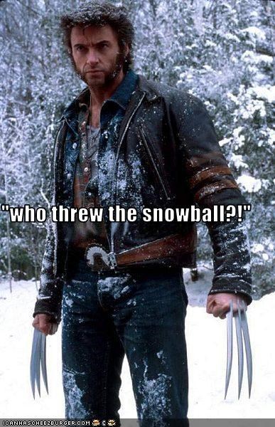 "who threw the snowball?!"