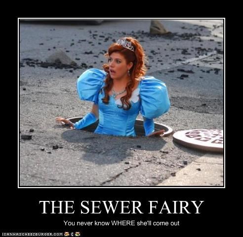 THE SEWER FAIRY