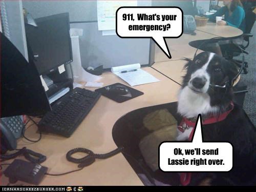 911,  What's your emergency?