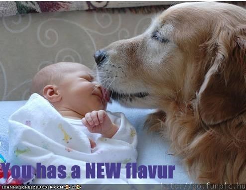 You has a NEW flavur