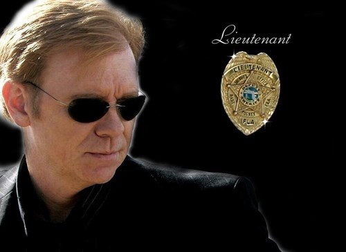 10 Reasons Why Horatio Caine Was the Punniest Character on TV