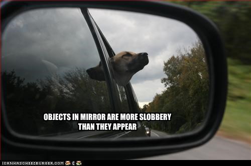 OBJECTS IN MIRROR ARE MORE SLOBBERY
THAN THEY APPEAR
