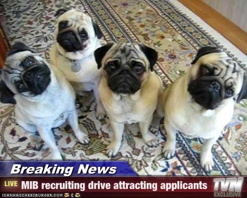 Breaking News - MIB recruiting drive attracting applicants