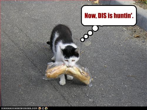 Now, DIS is huntin'.