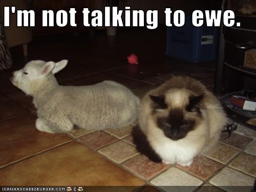 I'm not talking to ewe.