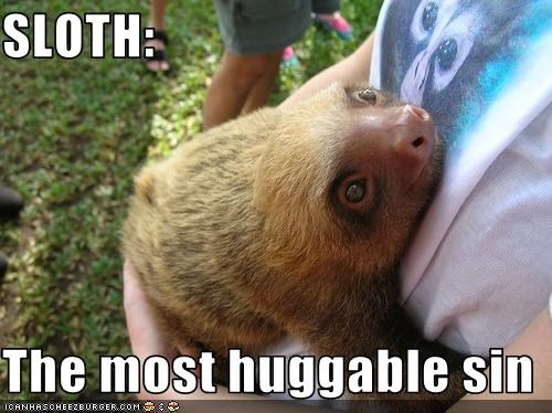 SLOTH:  The most huggable sin