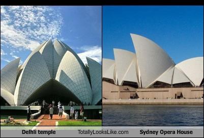 Delhli temple Totally Looks Like Sydney Opera House