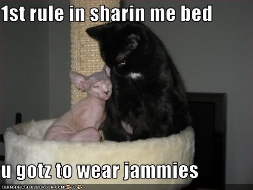1st rule in sharin me bed                 u gotz to wear jammies