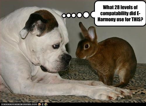 What 28 levels of compatability did E-Harmony use for THIS?