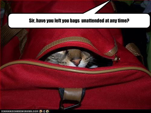 Sir, have you left you bags  unattended at any time?