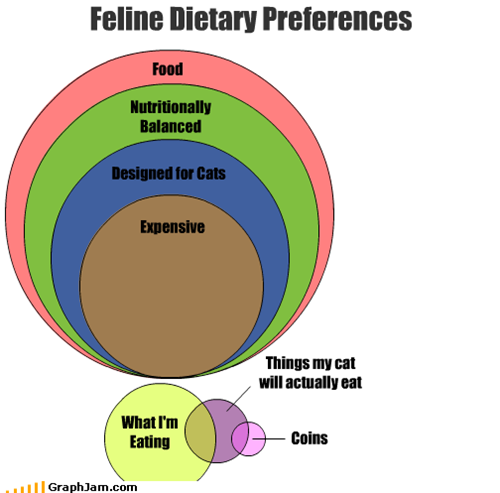 Feline Dietary Preferences
