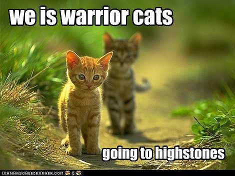 we is warrior cats