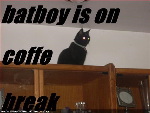 batboy is on coffe  break