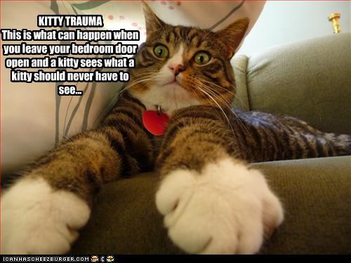 KITTY TRAUMA
This is what can happen when you leave your bedroom door open and a kitty sees what a kitty should never have to see...