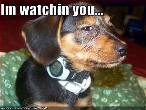 Im watchin you...