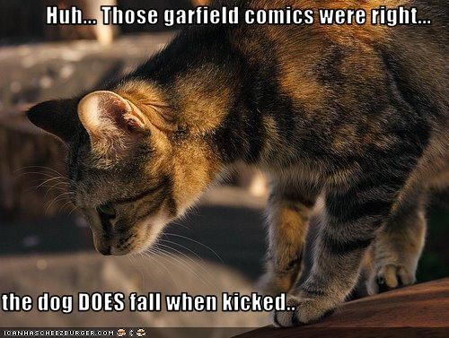 Huh... Those garfield comics were right...  the dog DOES fall when kicked..
