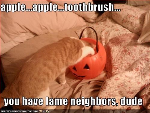 apple...apple...toothbrush...  you have lame neighbors, dude