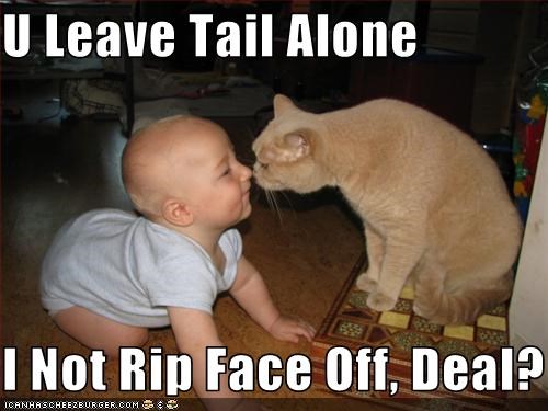 U Leave Tail Alone                             I Not Rip Face Off, Deal?