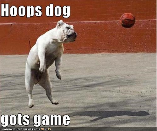 Hoops dog  gots game