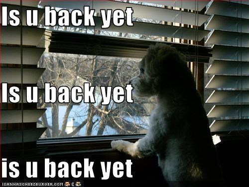 Is u back yet  Is u back yet is u back yet