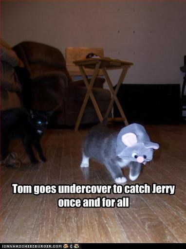 Tom goes undercover to catch Jerry once and for all