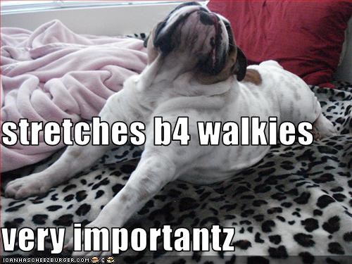 stretches b4 walkies very importantz