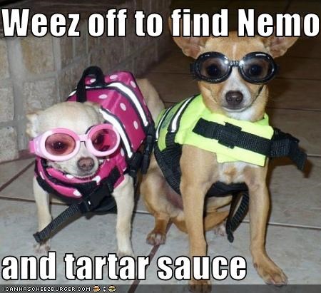 Weez off to find Nemo  and tartar sauce