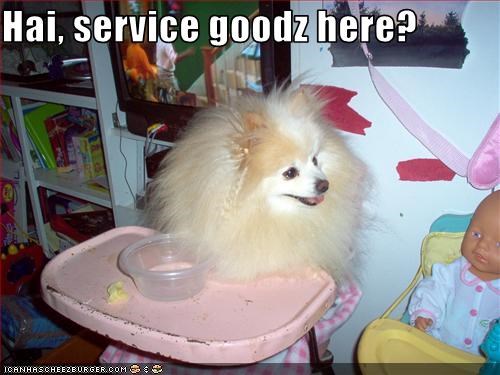 Hai, service goodz here?