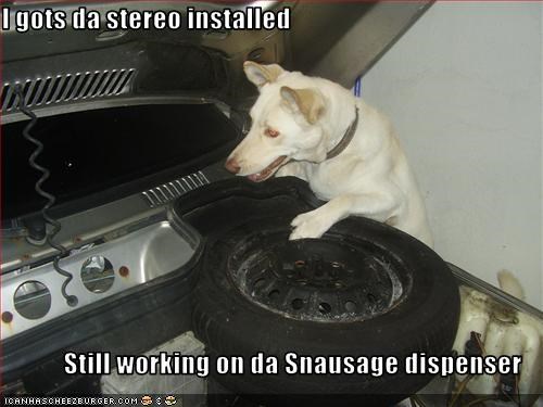 I gots da stereo installed  Still working on da Snausage dispenser