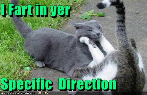 I Fart in yer  Specific  Direction
