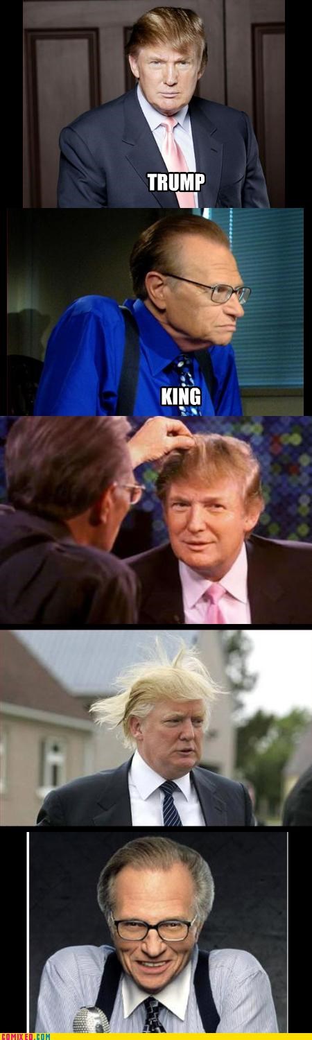 TRUMP VS KING