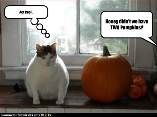 Honey didn't we have TWO Pumpkins?