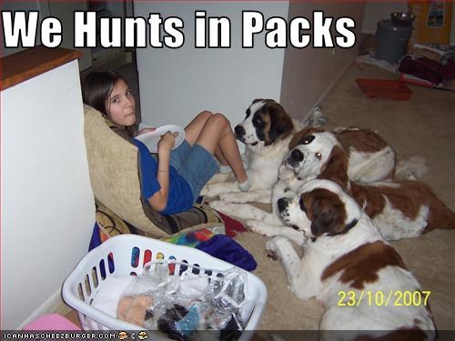 We Hunts in Packs