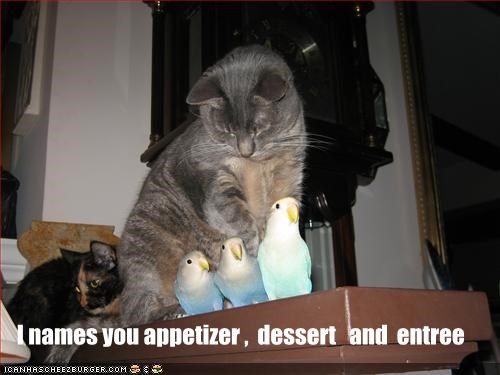 I names you appetizer ,  dessert   and  entree