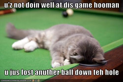 u'z not doin well at dis game hooman      u jus lost anuther ball down teh hole