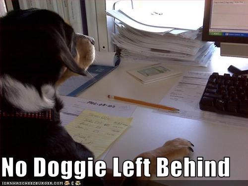 No Doggie Left Behind