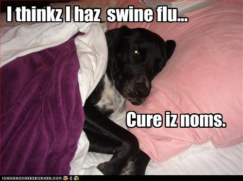I thinkz I haz  swine flu...