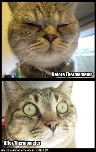 Before Thermometer