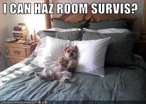 I CAN HAZ ROOM SURVIS?