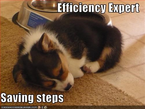 Efficiency Expert  Saving steps